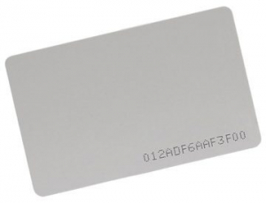 Бесконтактная карта TS-IC117 - Интернет-магазин Tantos